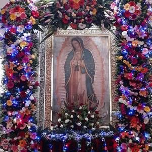 Meet your Posher, Mariano